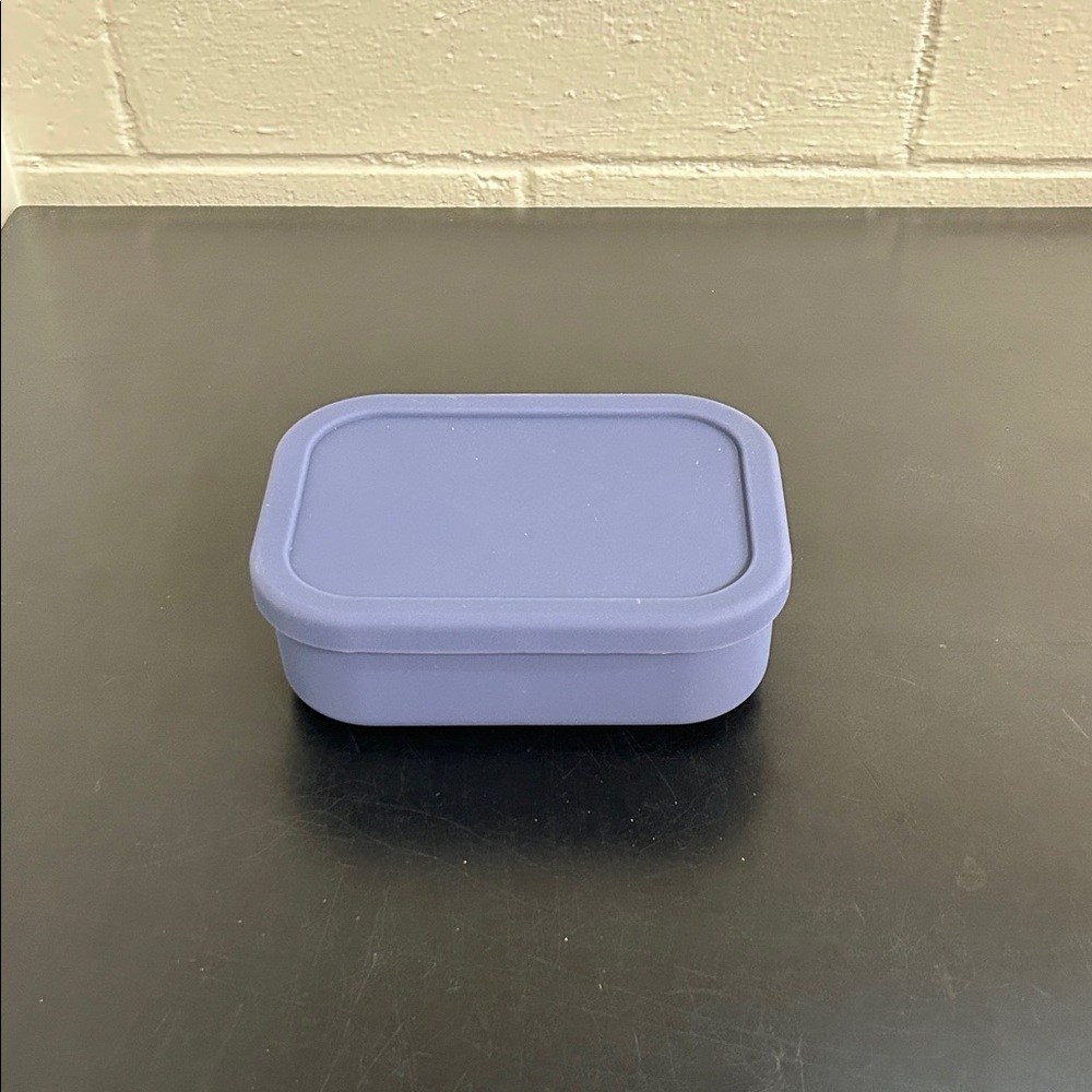 Pottery Barn Kids Silicone  Blue Food Storage Container
